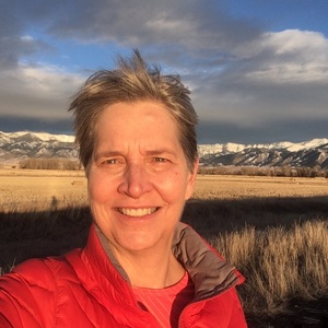 KAY ROSEEN